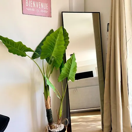 Equipe Avec Jardin - Calme & Cosy تارْب