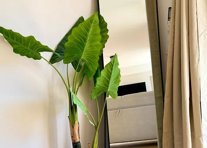 Equipe Avec Jardin - Calme & Cosy Tarbes